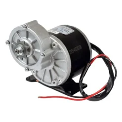 Buy 🤩 Unite Motor 24 Volt 350 Watt MY1016Z3 Gear Reduction Electric Motor With 9 Tooth 1/8" Bicycle Chain Sprocket 🤩