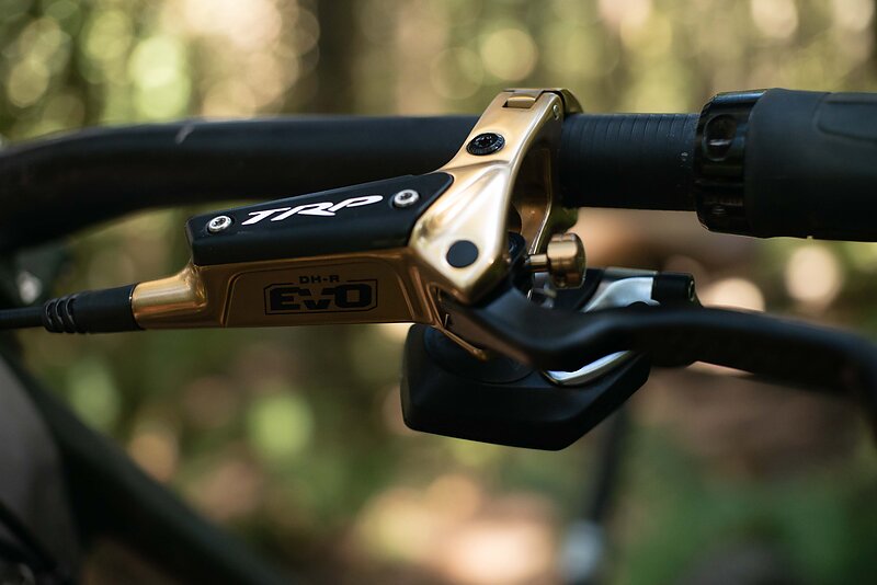 bicycle Shop 20 bicycle Shop -bicycle Shop TRP 6